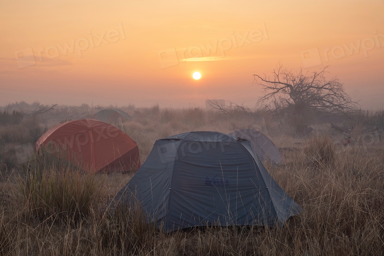 Carry on camping: 9 best campsites near to Tonbridge