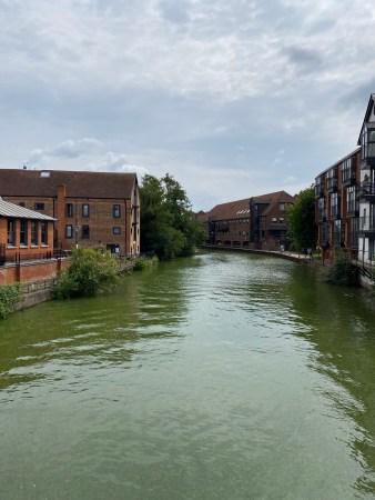 Tonbridge Renting Crisis Tonbridge Bean