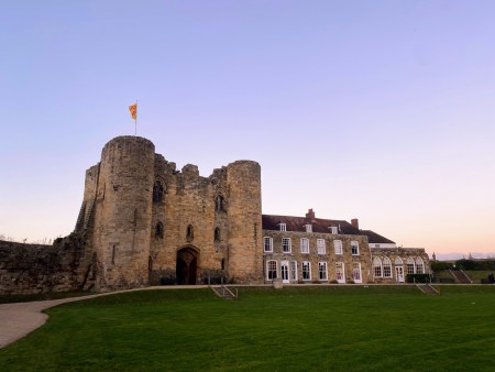 Tonbridge Castle Bean