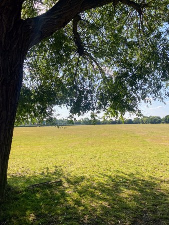 MP Tom Tugendhat Sounds Alarm Over ‘Grey Belt’ Threat to Tonbridge Green Spaces