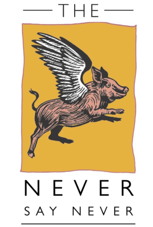 Never Say Never Logo