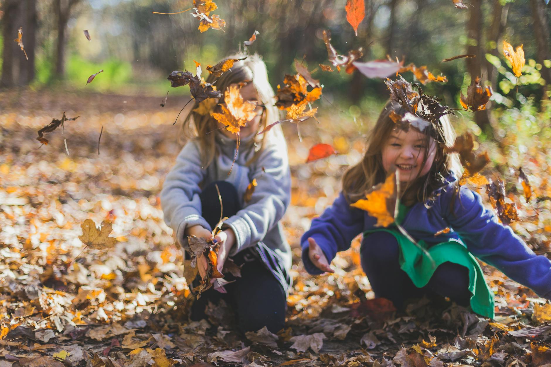 15 Fun Half Term Events in and Around Tonbridge (18th–26th October)