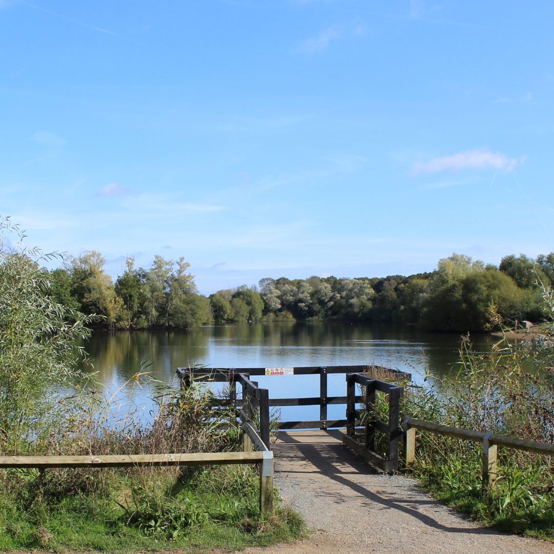 Future Management of Haysden Country Park Under Review